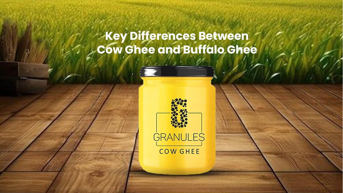 Key Differences Between Cow Ghee and Buffalo Ghee