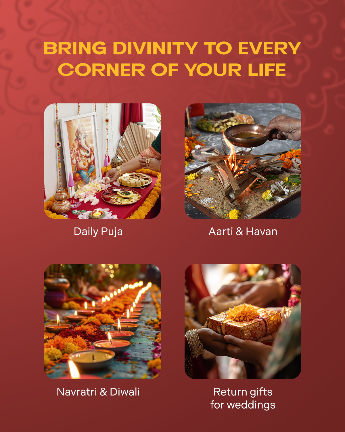 Ghee Diya for Puja 100 Pieces (pack of 1)
